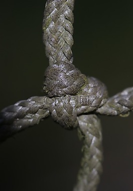 绳,结,详细