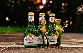 青蛙,酒,喝