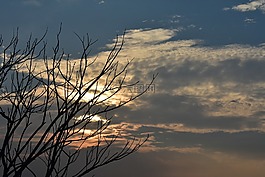 日落,黃昏,云