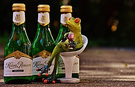 青蛙,酒,喝