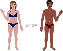 人類(lèi),男子,女子