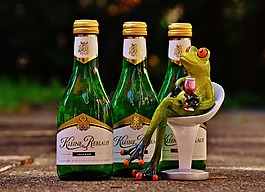青蛙,酒,喝