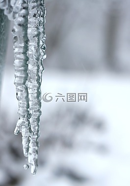 冰柱,冬天,雪