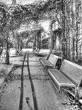 银行,雪,冬天