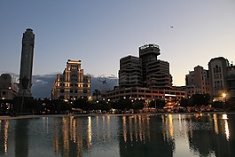 特内里费,岛,金丝雀