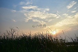 日落,黃昏,云