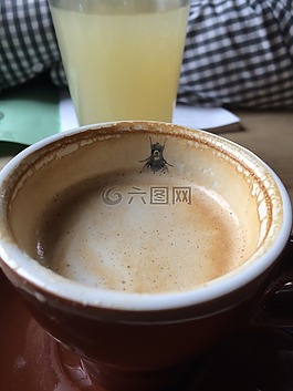 咖啡,飛,喝