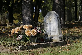 公墓,świerczewo,二战