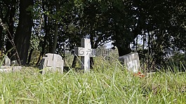 公墓,świerczewo,二战