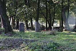 公墓,świerczewo,二战