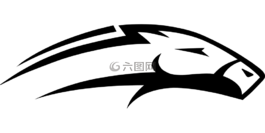 賽馬,馬,動(dòng)物
