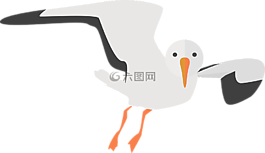 海鷗,動物,水禽