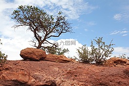 科羅拉多州,景觀,石