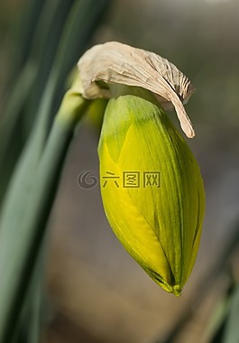 性質(zhì),戶外活動,廠