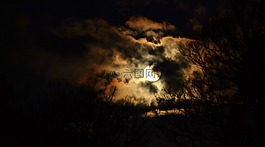 夜,滿月,光