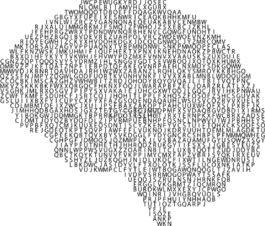 解剖,生物學(xué),腦