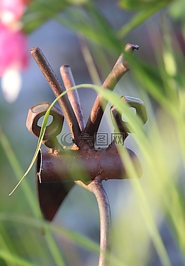 藝術(shù),鐵,母親