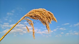 天空,性質(zhì),夏季
