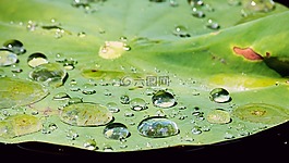 滴,水,結(jié)構(gòu)