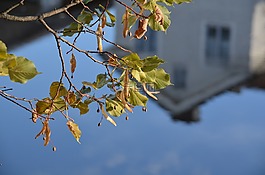 秋季,水,仍