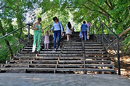 兒童節(jié),梯子,嬰兒