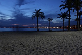 景观,海滩,夜