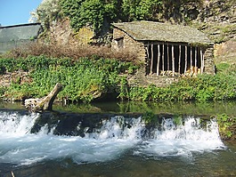 水,河,景觀