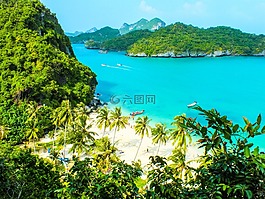 海洋,海灘,綠色