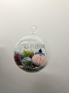 飼養(yǎng)站,植物,多汁