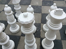 棋,項目管理,招聘