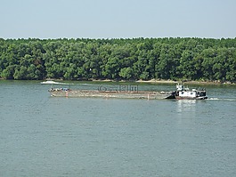 多瑙河,船舶,frachtschiff