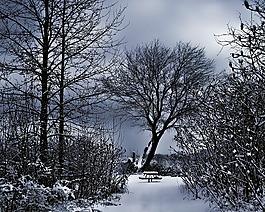 冬天的景色,白雪皑皑的板凳,黑暗的天空