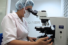 顯微鏡,診斷,實驗室