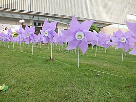 風標,風,花園