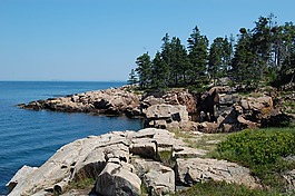 海,冷杉,緬因