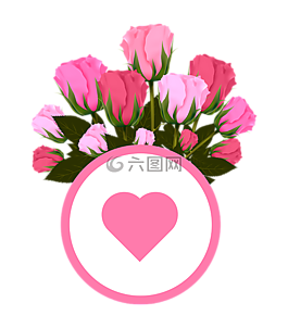 鮮花,玫瑰,粉色