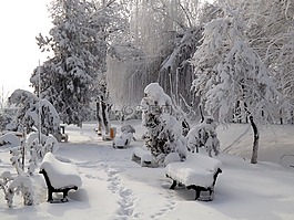 公园,雪,银行