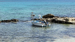 漁船,科夫,海