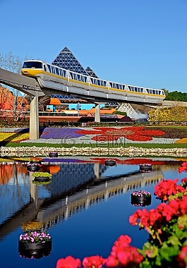 电车,迪斯尼,epcot