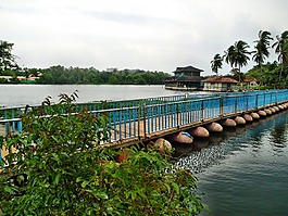 薇,村,橋