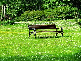 工作臺,公園,綠色