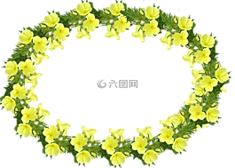 帧,月见草,黄色