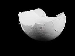 雞蛋,蛋殼,營(yíng)養(yǎng)