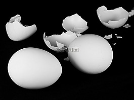 雞蛋,蛋殼,營(yíng)養(yǎng)