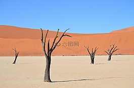 sossusvlei,非洲,納米比亞