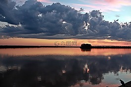 水,反思,鳥