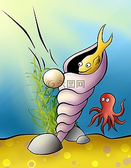 小魚,外殼,水下