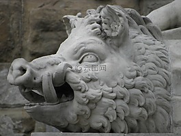 野豬,雕像,動物