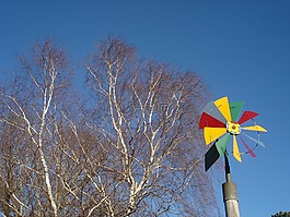 風(fēng)車,樺木,天空