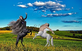 幻想,zentauer,舞蹈